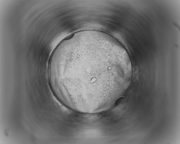 X0000102871103200809081200