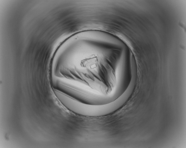 X0000102871104200809081200