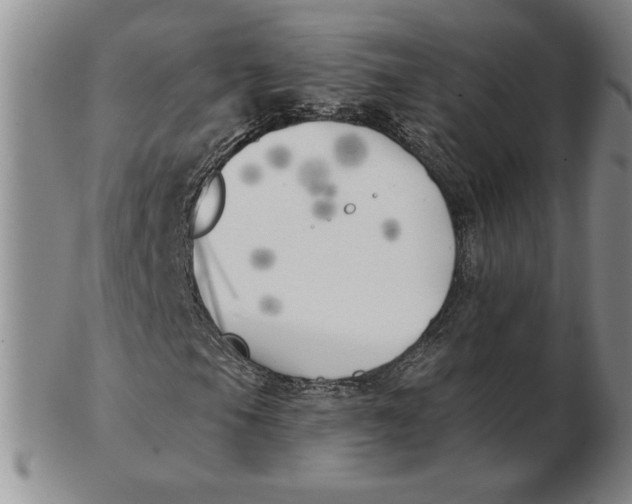 X0000102871105200809081159