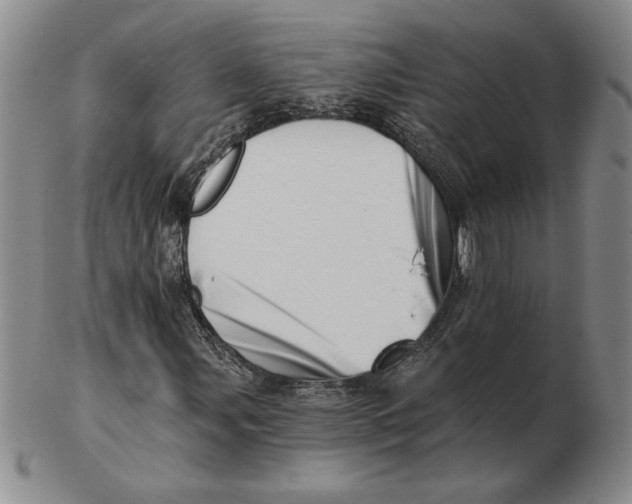 X0000102871107200809081159