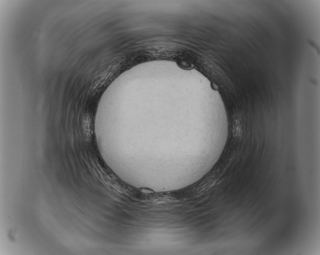 X0000102871108200809081159