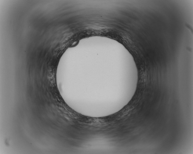 X0000102871109200809081159