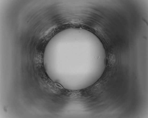 X0000102871110200809081159