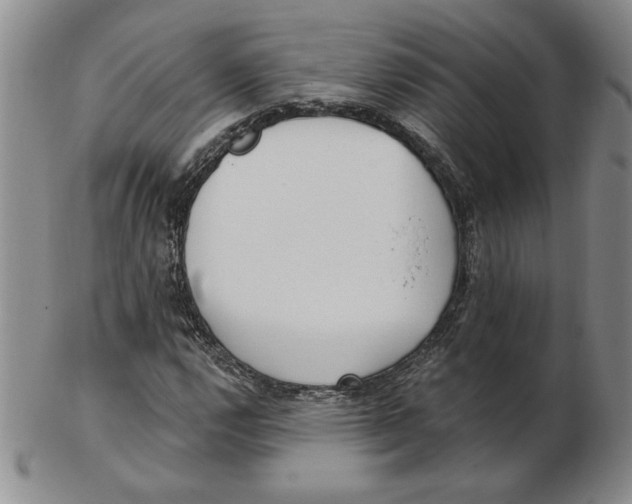 X0000102871112200809081159