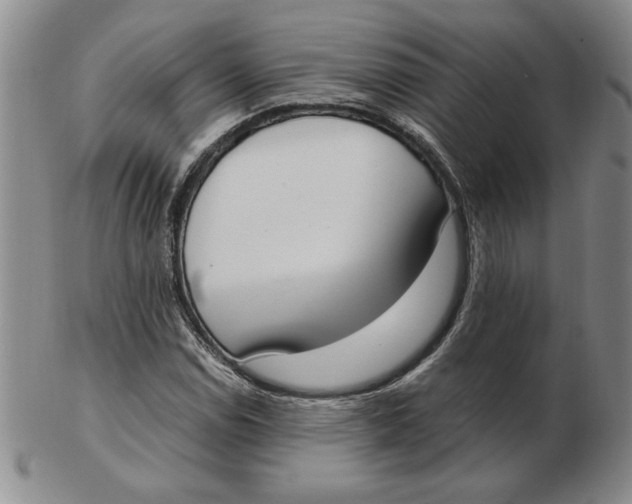 X0000102871114200809081159