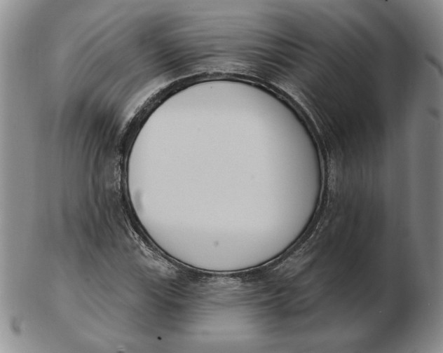 X0000102871115200809081159