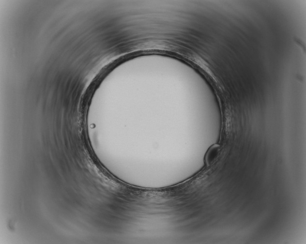 X0000102871116200809081159