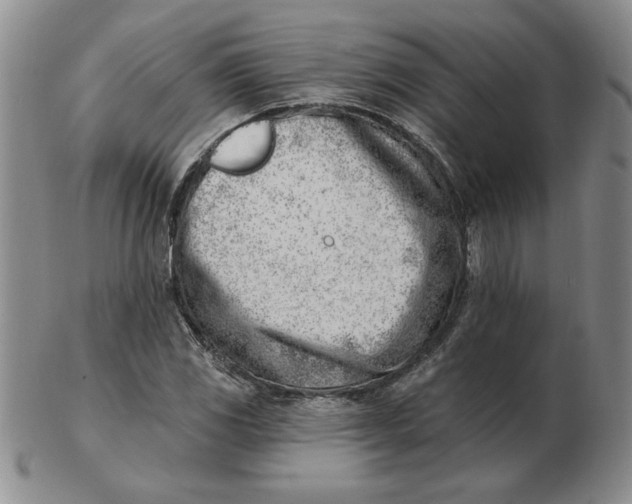 X0000102871117200809081159