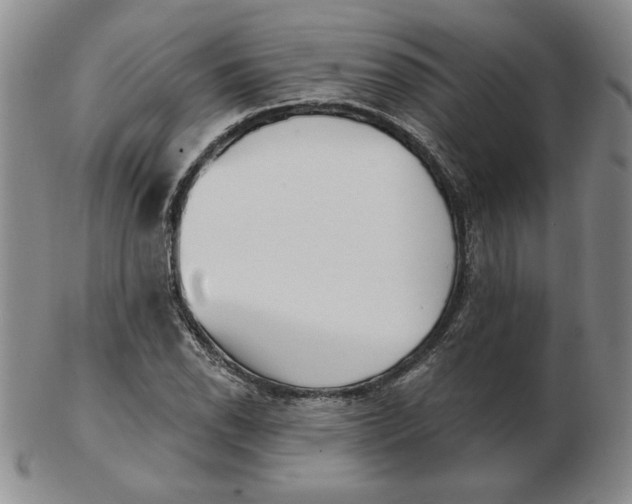 X0000102871118200809081159