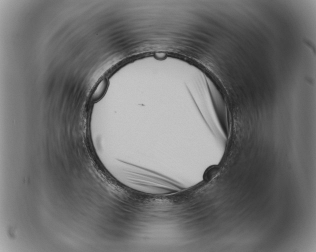 X0000102871119200809081159