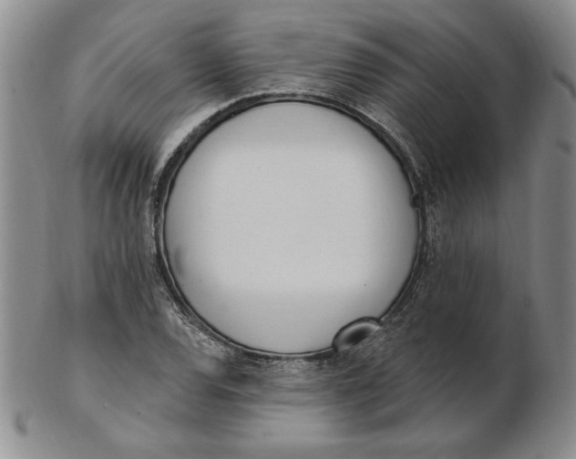 X0000102871120200809081159