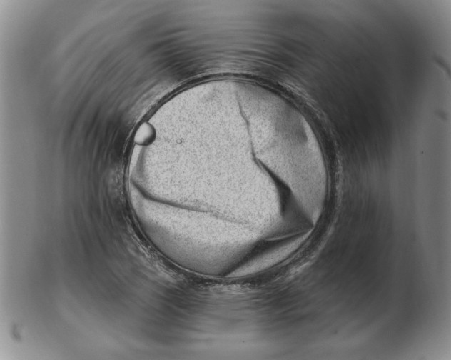 X0000102871121200809081159