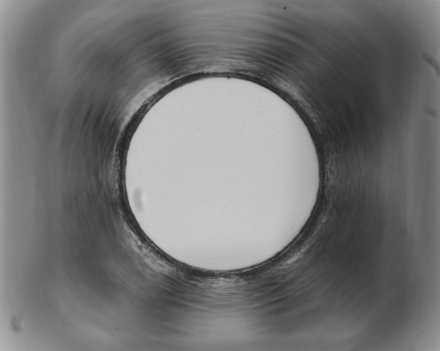 X0000102871122200809081159