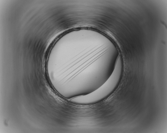 X0000102871124200809081200