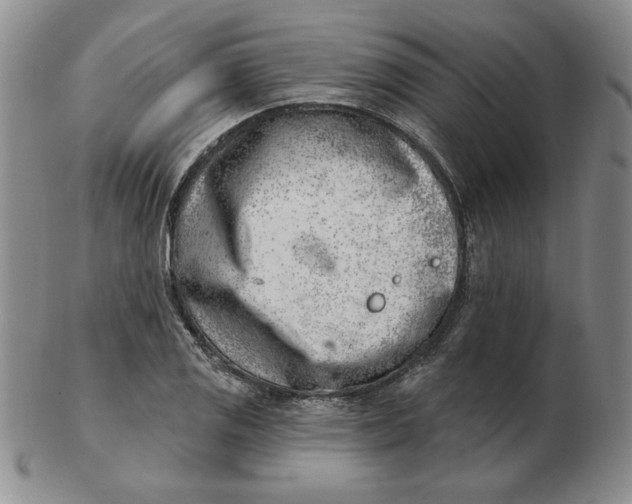 X0000102871125200809081200