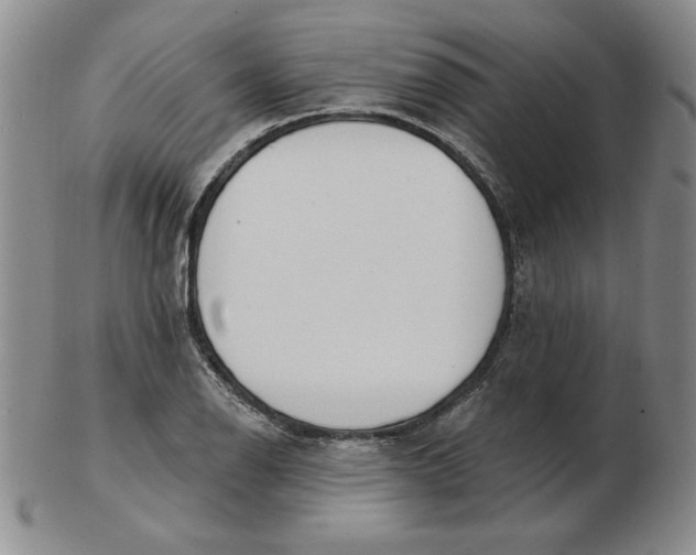 X0000102871126200809081200