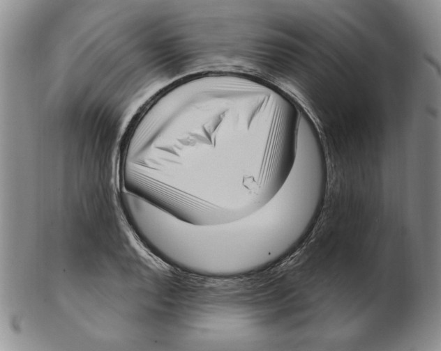 X0000102871128200809081200