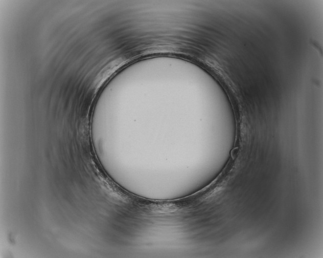 X0000102871129200809081200