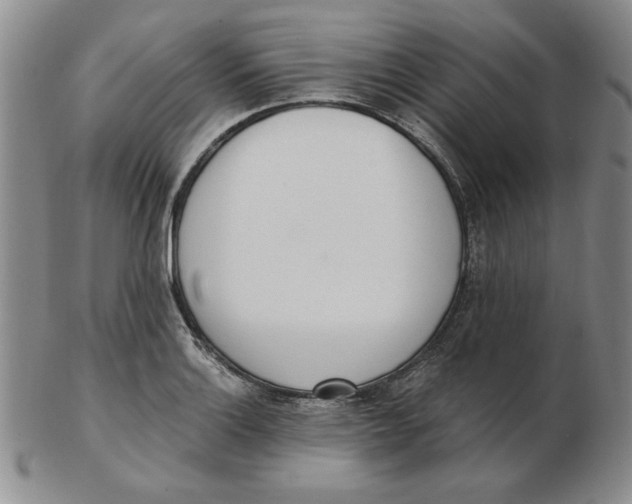 X0000102871132200809081200