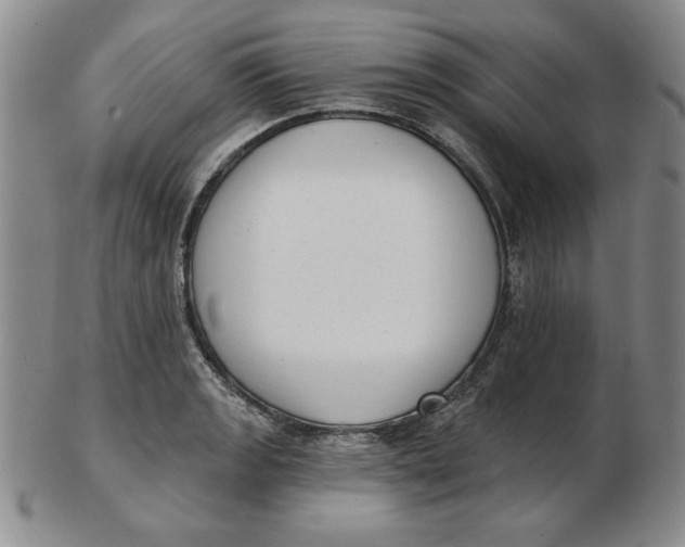 X0000102871133200809081200