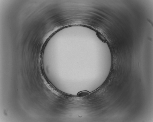 X0000102871134200809081200