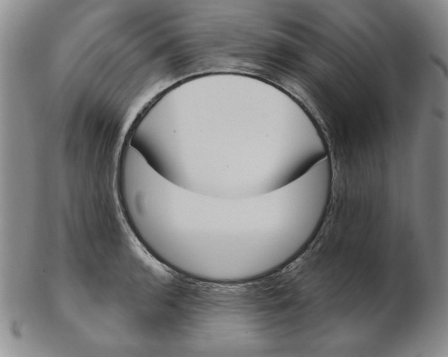 X0000102871136200809081200