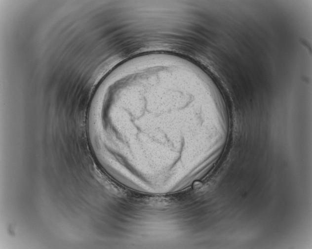 X0000102871137200809081200