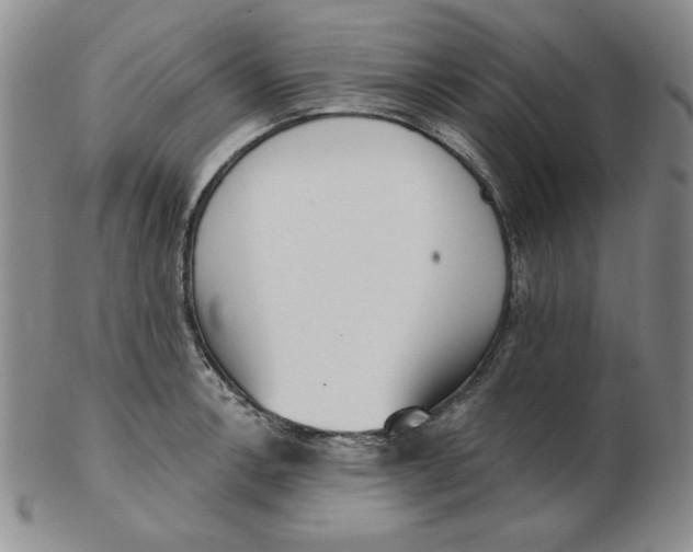 X0000102871138200809081200