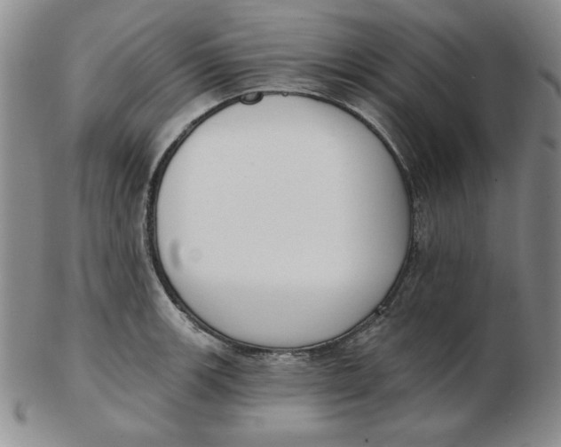 X0000102871139200809081200