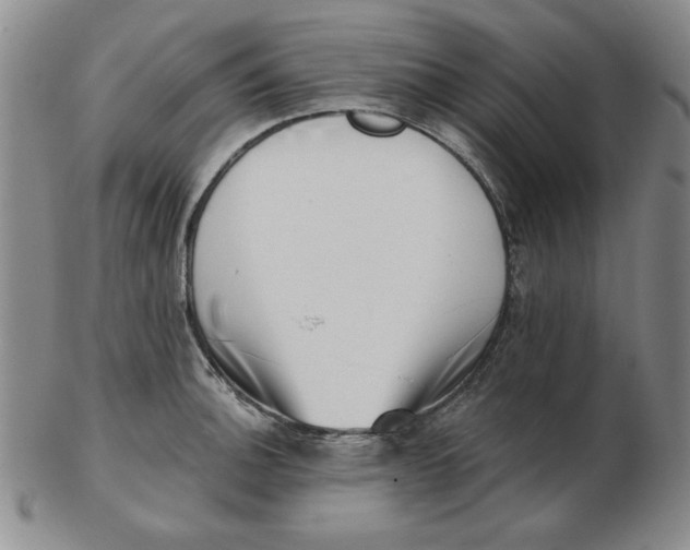 X0000102871140200809081200