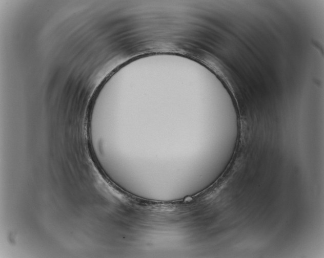 X0000102871141200809081200