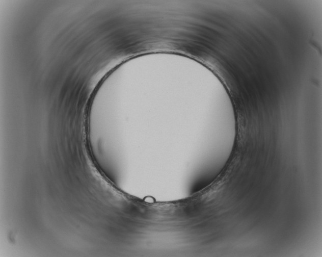 X0000102871142200809081200