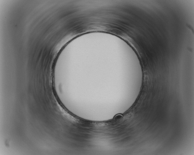 X0000102871143200809081200