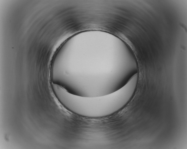 X0000102871144200809081200