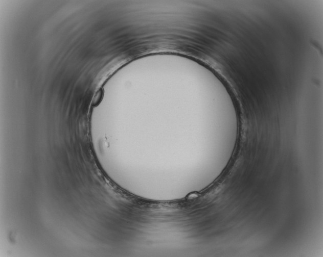 X0000102871145200809081200