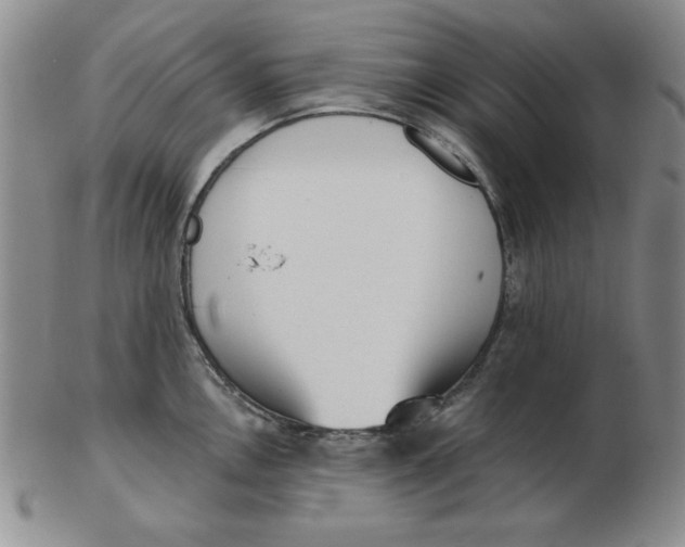 X0000102871146200809081200