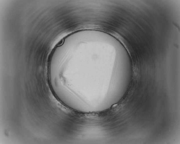 X0000102871147200809081200