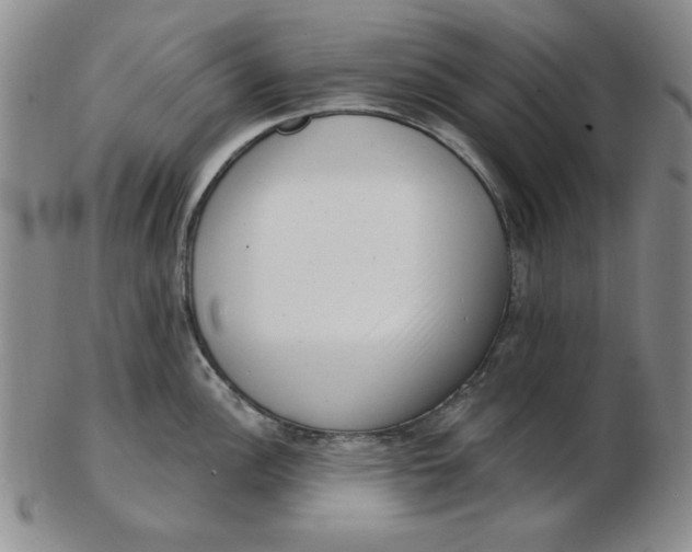 X0000102871148200809081200