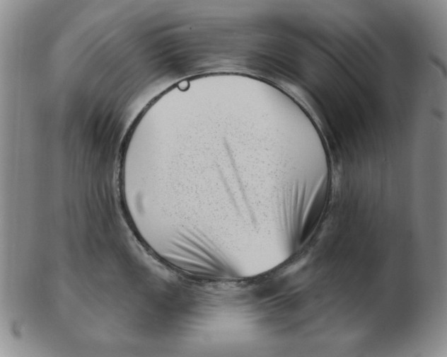 X0000102871149200809081200