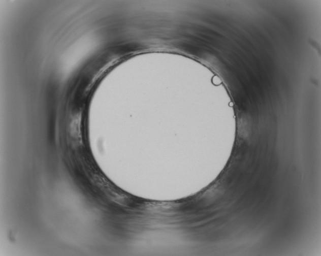 X0000102871150200809081200