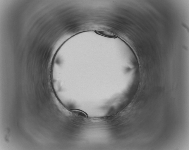 X0000102871152200809081200