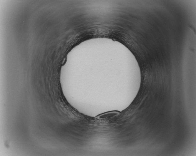 X0000102871153200809081159