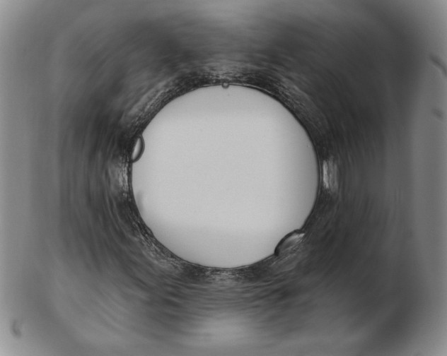 X0000102871155200809081159