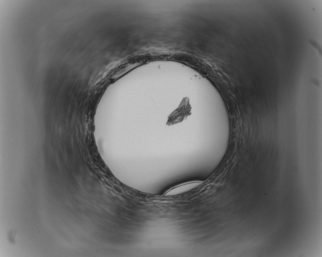 X0000102871157200809081159