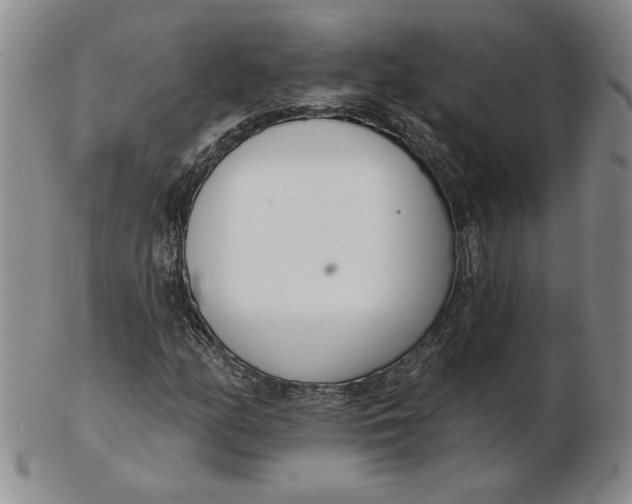 X0000102871158200809081159