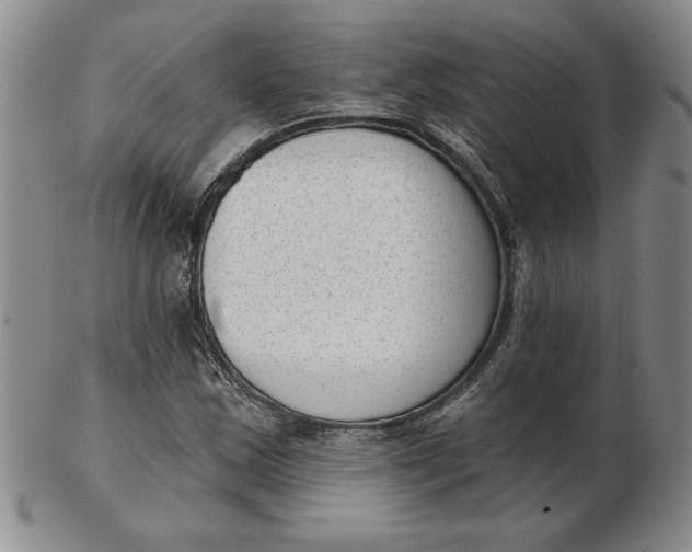 X0000102871163200809081159