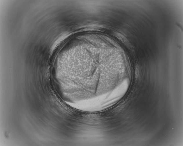 X0000102871164200809081159