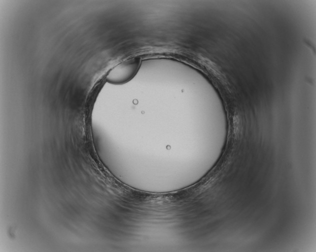 X0000102871165200809081159