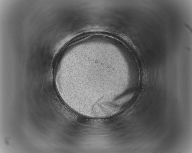 X0000102871167200809081159