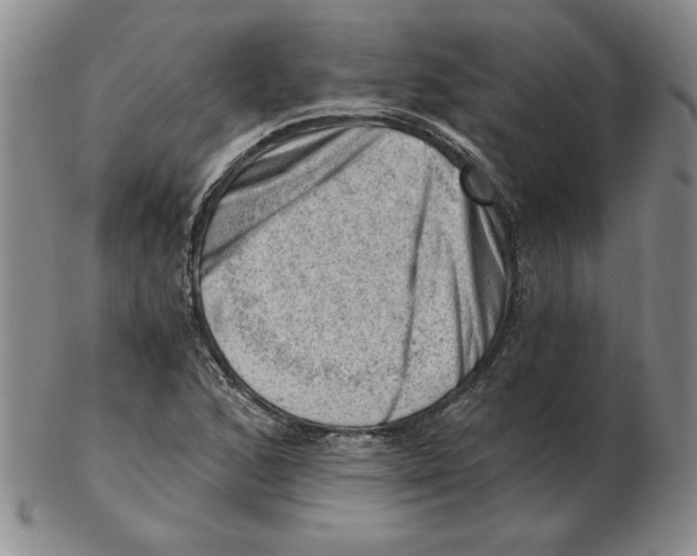 X0000102871168200809081159